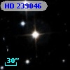 HD 239046