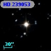 HD 239053