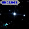 HD 239061