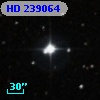 HD 239064