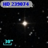 HD 239074