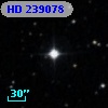 HD 239078