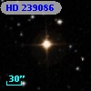 HD 239086