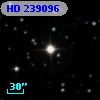 HD 239096