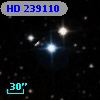 HD 239110