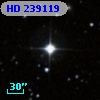 HD 239119