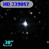 HD 239087