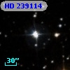 HD 239114
