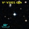V* V1021 Oph