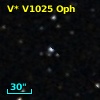V* V1025 Oph