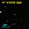 V* V1036 Oph