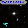 TYC 3929-307-1