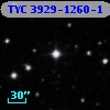 TYC 3929-1260-1