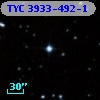 TYC 3933-492-1