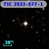 TYC 3933-877-1