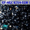 Cl* NGC 6254    CGW     167
