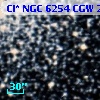 Cl* NGC 6254    CGW     218