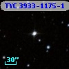TYC 3933-1175-1