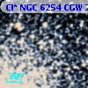 Cl* NGC 6254    CGW     239