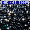 Cl* NGC 6254    CGW     265