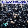 Cl* NGC 6254    CGW     295