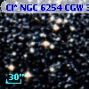 Cl* NGC 6254    CGW     302