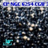 Cl* NGC 6254    CGW     304