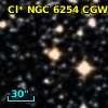 Cl* NGC 6254    CGW     343