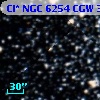 Cl* NGC 6254    CGW     393