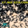 Cl* NGC 6254    CGW     310
