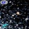 Cl* NGC 6254    HRD    2041