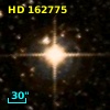 HD 162775