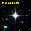 HD 163950