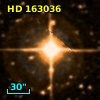 HD 163036