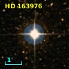 HD 163976