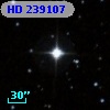 HD 239107