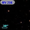 WV 256