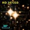 HD 167310