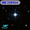 HD 239151