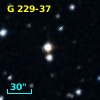 G 229-37