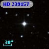 HD 239157