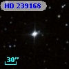 HD 239168