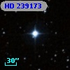 HD 239173