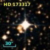 HD 173317