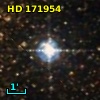 HD 171954