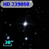 HD 239080