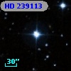 HD 239113