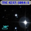TYC 4217-1084-1