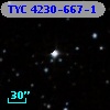 TYC 4230-667-1
