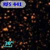 RFS  441